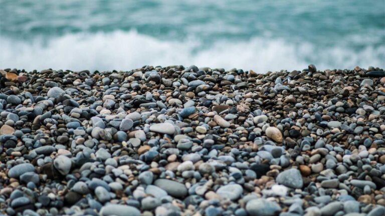 How Many Domains Are Registered Under 11Xplay Brand?